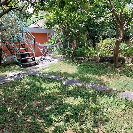 Garden Apartmant Near Sea Kotor Exterior foto