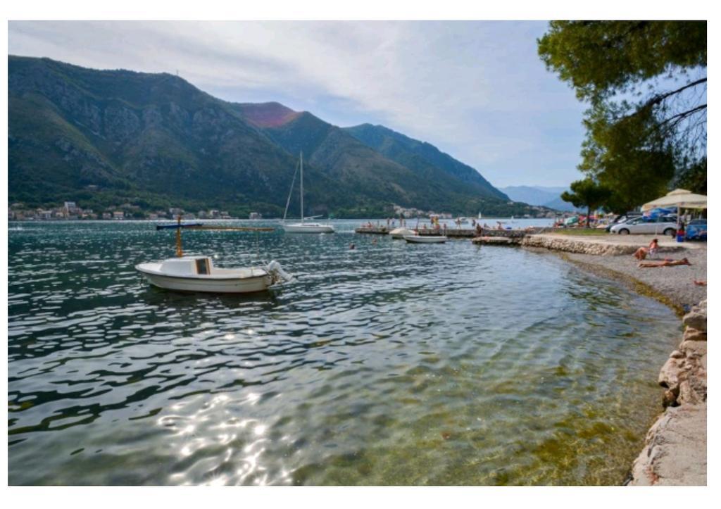 Garden Apartmant Near Sea Kotor Exterior foto