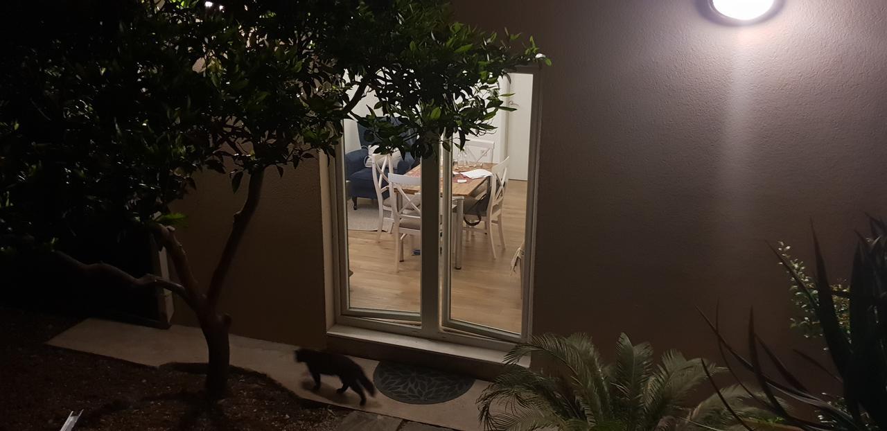 Garden Apartmant Near Sea Kotor Exterior foto