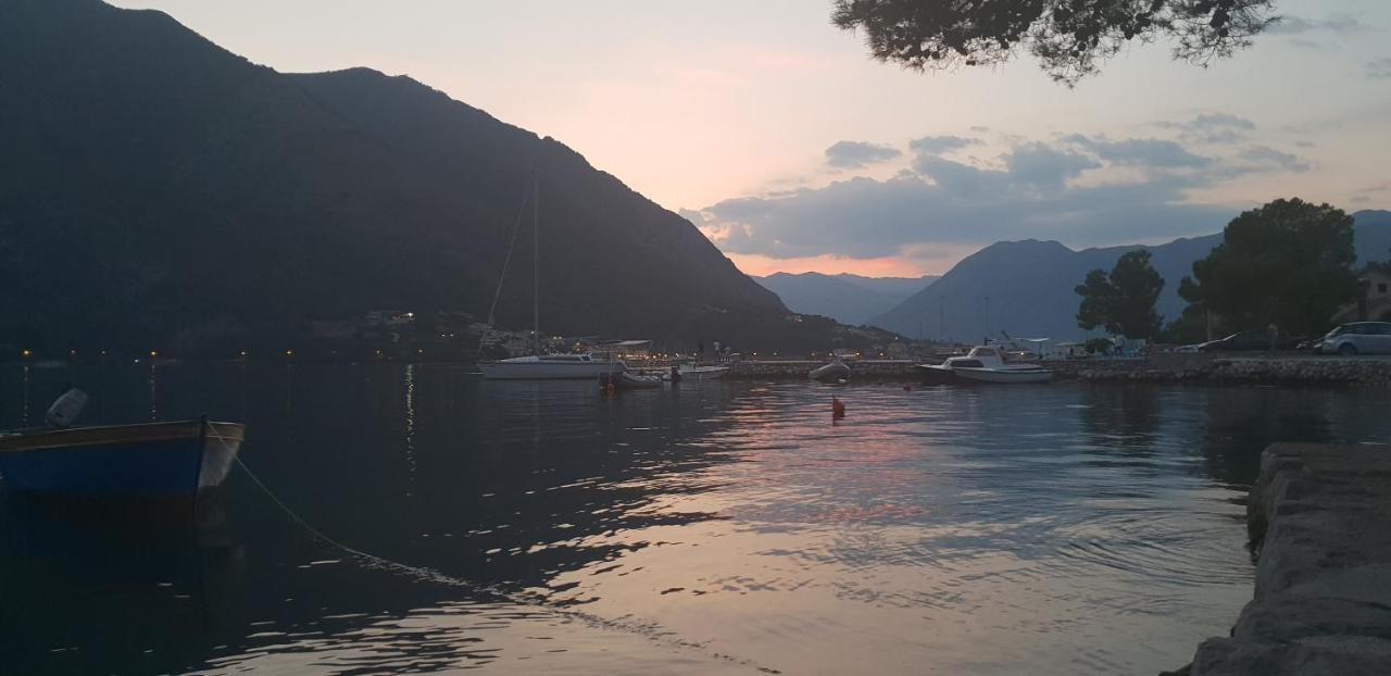 Garden Apartmant Near Sea Kotor Exterior foto